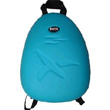Computer  backpack